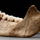 Image for article titled Grisly new evidence reveals American colonists resorted to cannibalism